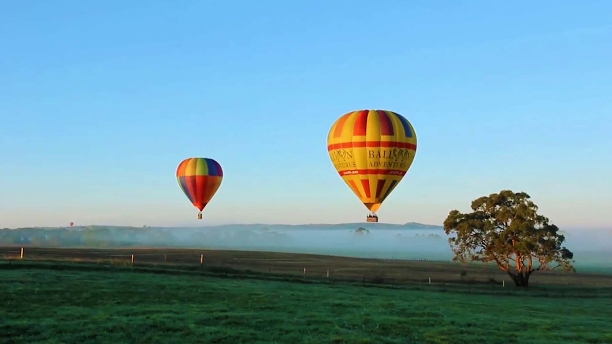 Barossa Valley Favorites