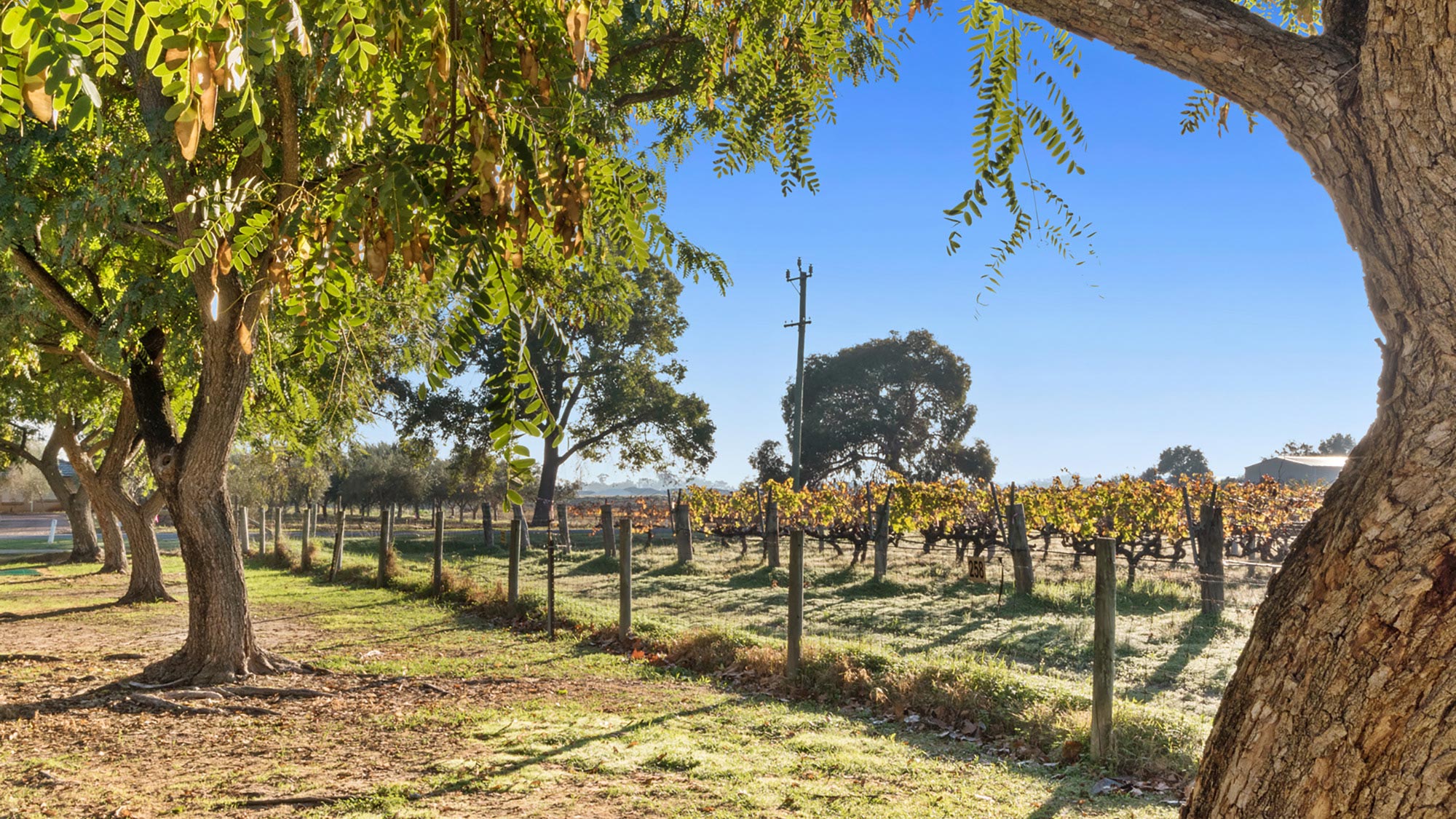 Discovery Parks Swan Valley Short Breaks Australia Holiday deals & Hotel getaways