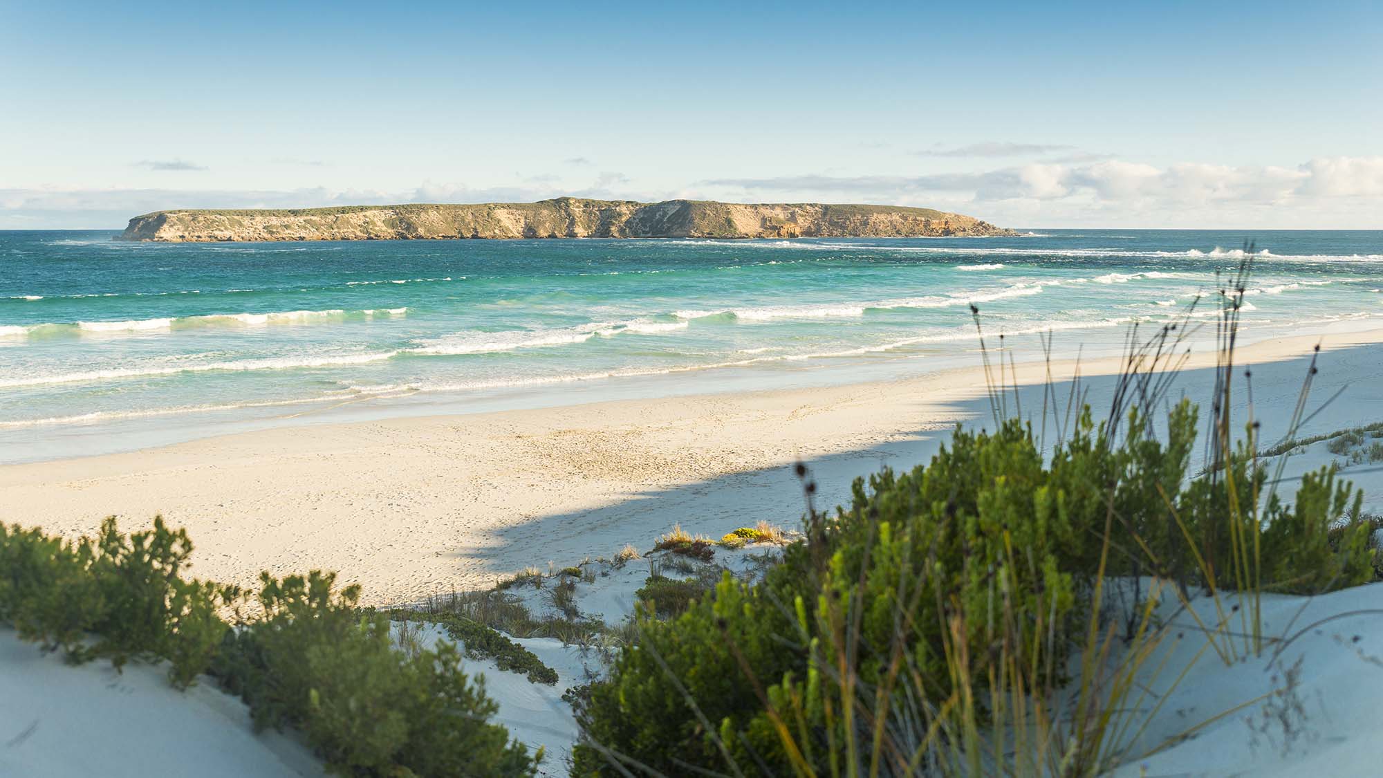 Port Lincoln & Coffin Bay Escape